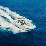 Exploring Miami’s Wildlife from the Water: A Yacht Charter Guide